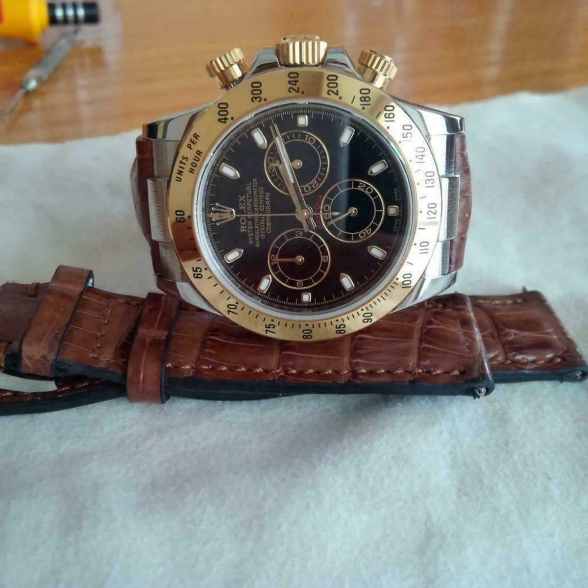 20MM CROC LEATHER BAND STRAP FOR ROLEX DAYTONA 16518,116519 ENDLINK SHORT MEDIUM