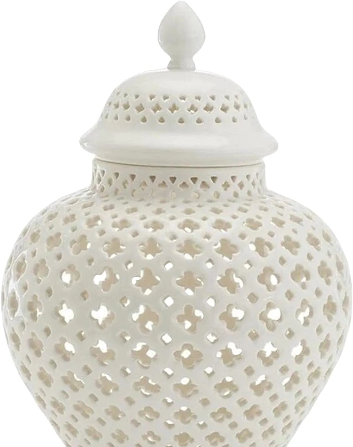 Ceramic Ginger Jar with Lid Decorative Flower Vase Display Jars White