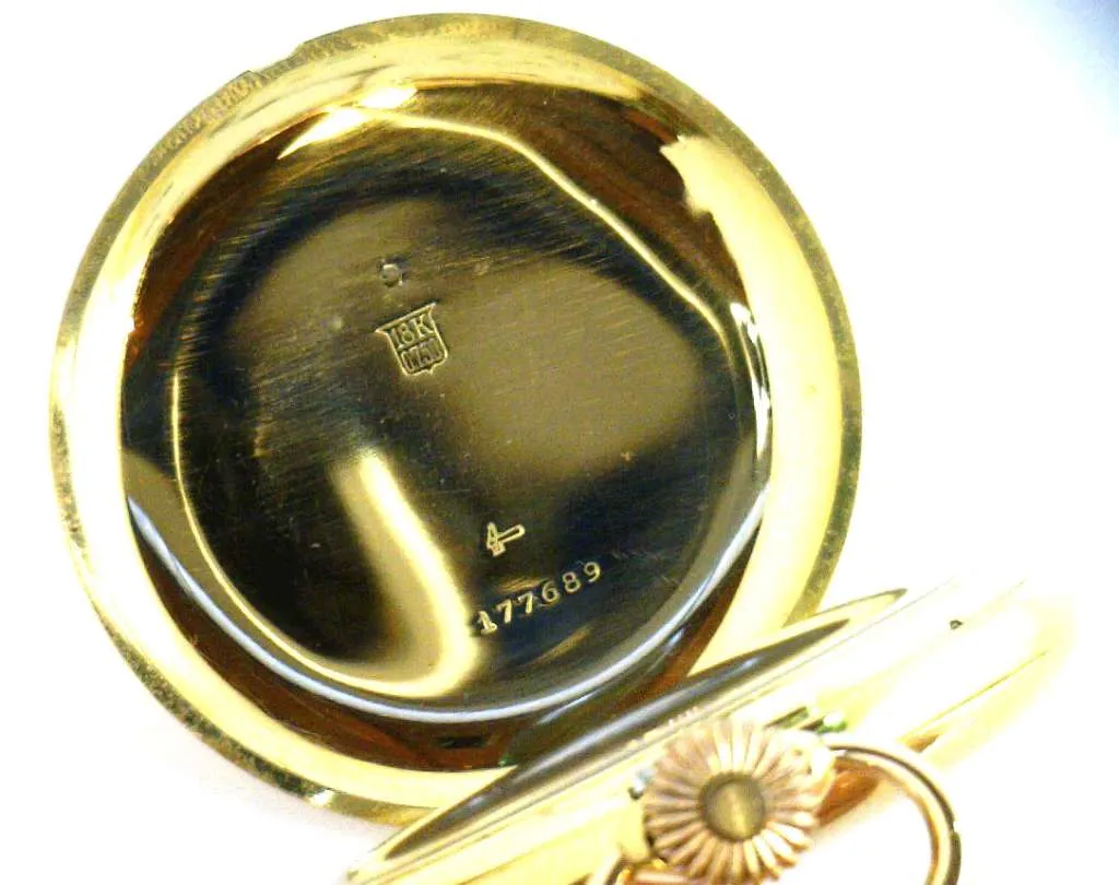 Pocket watch
